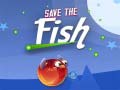 Тоглоом Save The Fish