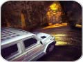 Тоглоом Scary Car Driving Simulator