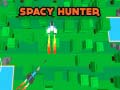 Тоглоом Spacy Hunter