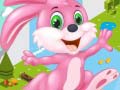 Тоглоом Bunny Run