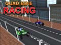 Тоглоом Quad Bike Racing