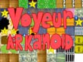 Тоглоом Voyeur arkanoid