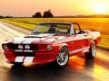 Тоглоом Fancy Mustang Differences