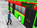 Тоглоом Passenger Pickup 3D: WInter