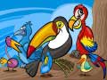 Тоглоом Exotic Birds Coloring