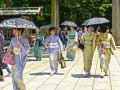 Тоглоом 100 Butterflies in Japan