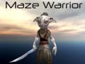 Тоглоом Maze Warrior