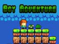 Тоглоом Boy Adventure