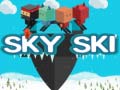 Тоглоом Sky Ski