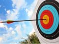 Тоглоом Archery: Bow & Arrow