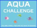 Тоглоом Aqua Challenge
