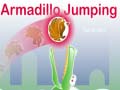 Тоглоом Armadillo Jumping