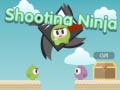 Тоглоом Shooting Ninja
