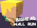 Тоглоом Bighead Wall Run