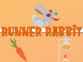 Тоглоом Runner Rabbit