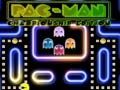 Тоглоом Pac-Man Championship Edition