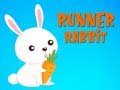 Тоглоом Runner Rabbit