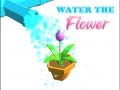 Тоглоом Water The Flower