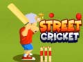 Тоглоом Street Cricket