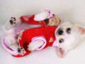 Тоглоом Lovely Puppy Slide