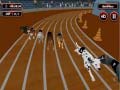 Тоглоом Crazyl Dog Racing Fever