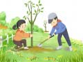 Тоглоом Arbor Day Puzzle