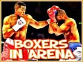 Тоглоом Boxers in Arena