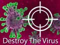 Тоглоом Destroy The Virus
