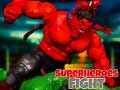 Тоглоом Superheroes Fight