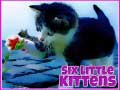 Тоглоом Six Little Kittens