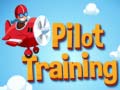 Тоглоом Pilot Training