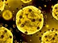 Тоглоом Coronavirus Slide