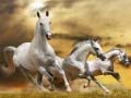 Тоглоом Running Horse Slide