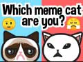 Тоглоом Which Meme Cat Are You?
