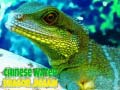 Тоглоом Chinese Water Dragon Jigsaw