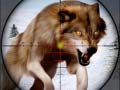 Тоглоом Wild Animal Hunting