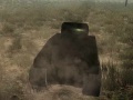 Тоглоом Tank Battle