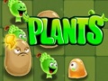 Тоглоом Plants