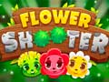 Тоглоом Flower Shooter