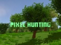 Тоглоом Pixel Hunting