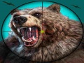 Тоглоом Wild Bear Hunting