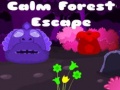 Тоглоом Calm Forest Escape