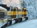 Тоглоом Travel Train Alaska