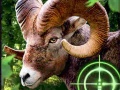 Тоглоом Crazy Goat Hunter 2020