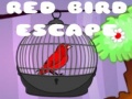 Тоглоом Red Bird Escape
