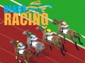 Тоглоом Derby Racing