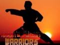 Тоглоом Karate Sunset Warriors