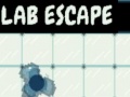 Тоглоом Lab Escape