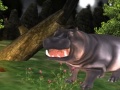 Тоглоом Wild Hippopotamus Hunting