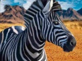 Тоглоом Zebra Hunter